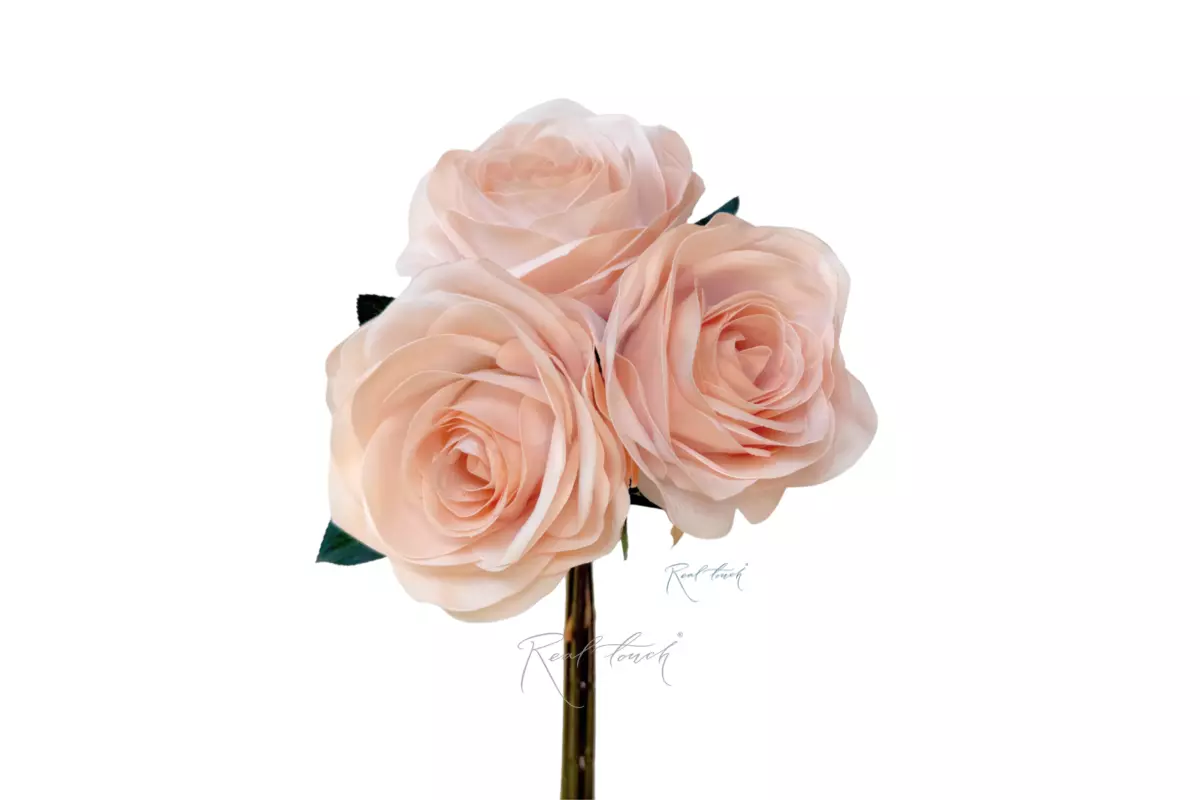 Bouquet of 3 Roses - Beige Bouquet of 3 Roses - Beige