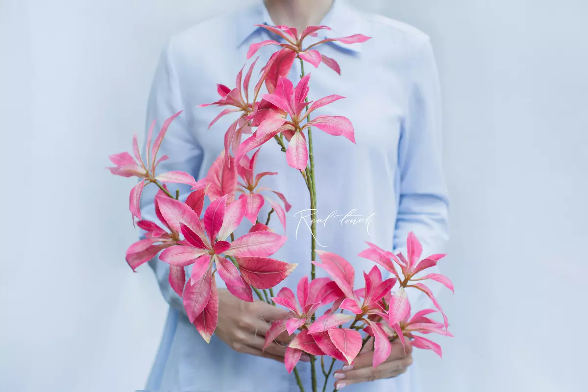 Pieris - Bright pink