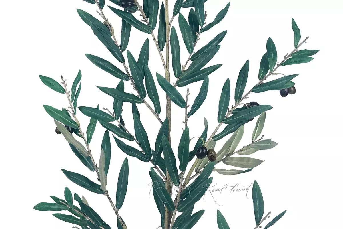 Olive branch with fruits 135cm with UV protection - green