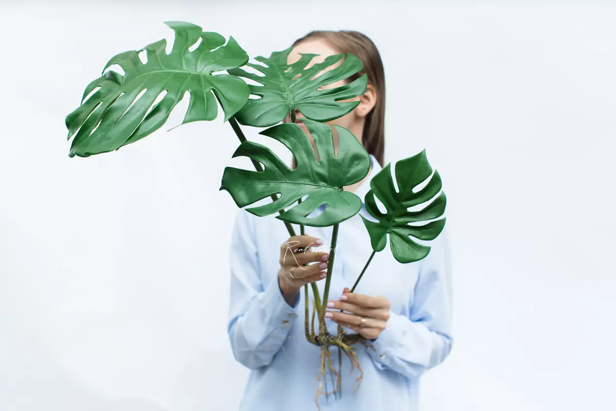 Artificial Monstera bush with 4 leaves and roots  - green