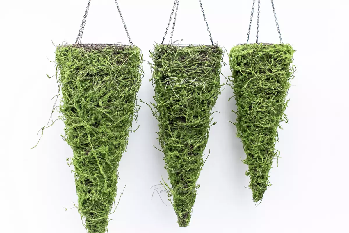 Cone-pot set of 3 pcs 60/70/ 80cm - green Cone-pot set of 3 pcs 60/70/ 80cm - green