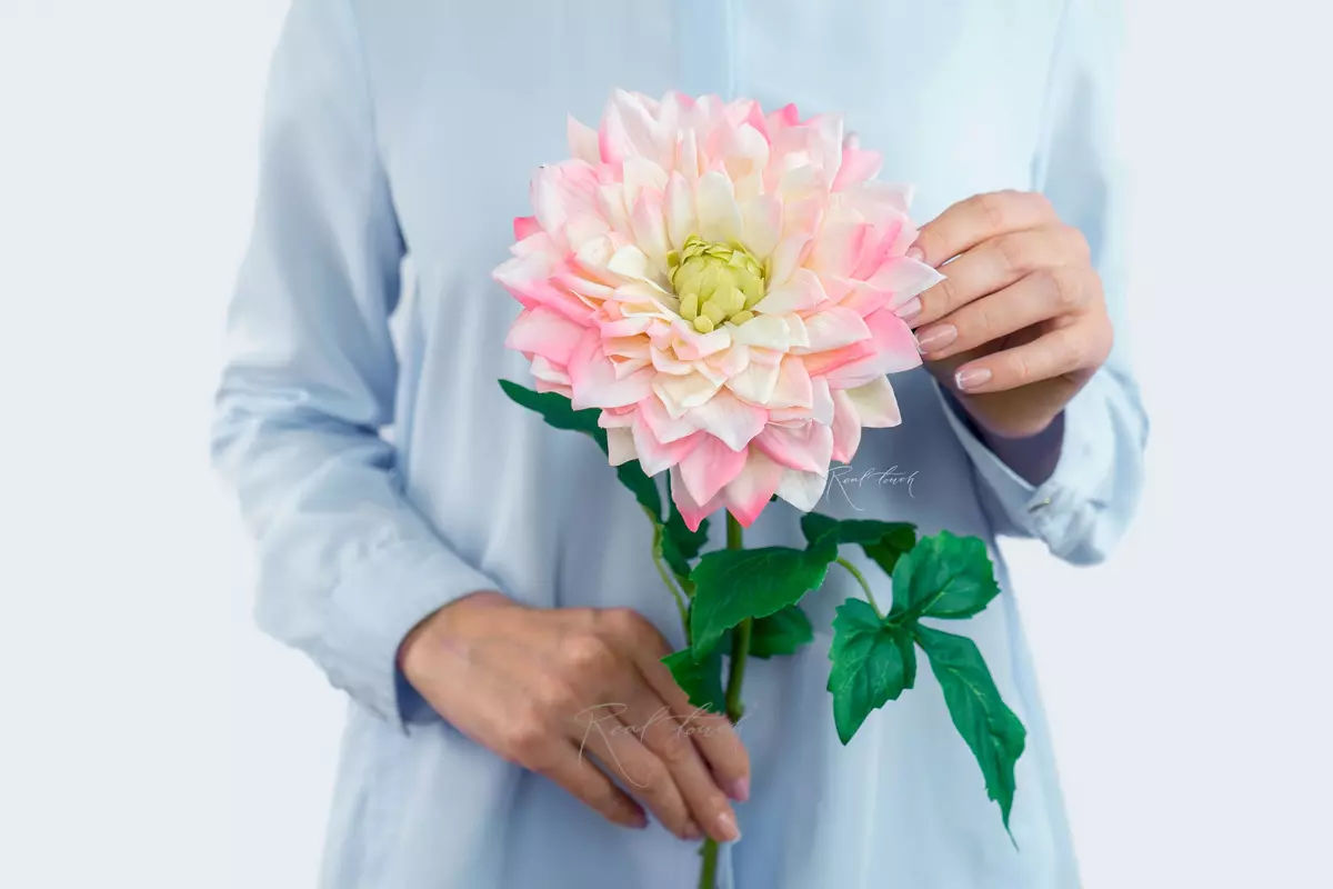 Peony - shaped dahlia - peach pink Peony - shaped dahlia - peach pink