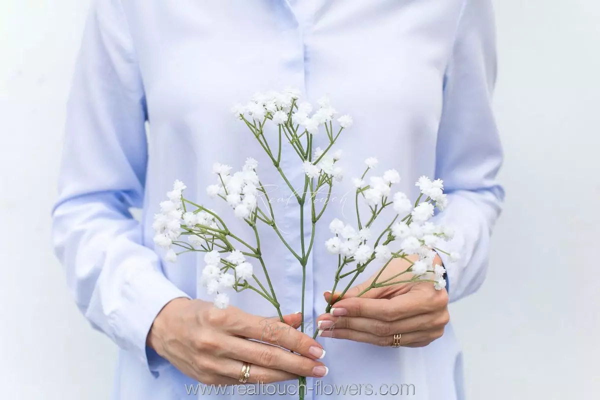 Baby's Breath Gypsophila - white Baby's Breath Gypsophila - white