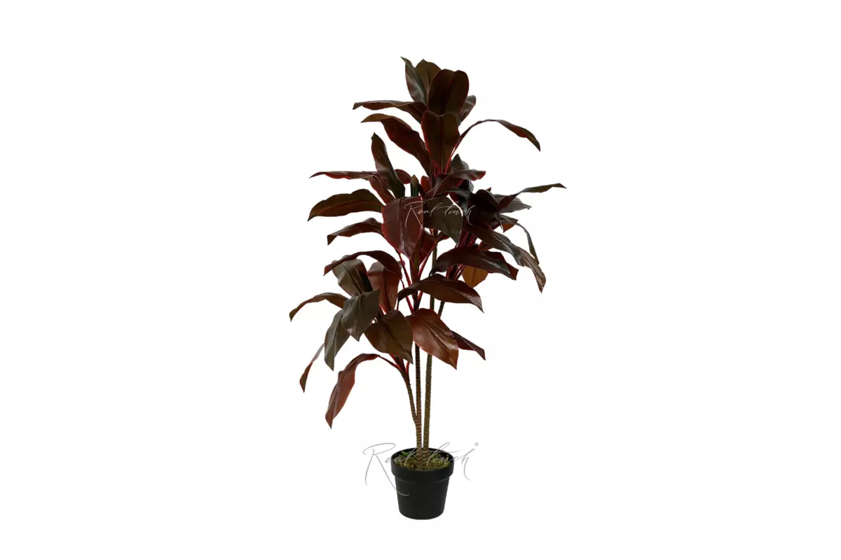 Cordilina shrub 110cm - red