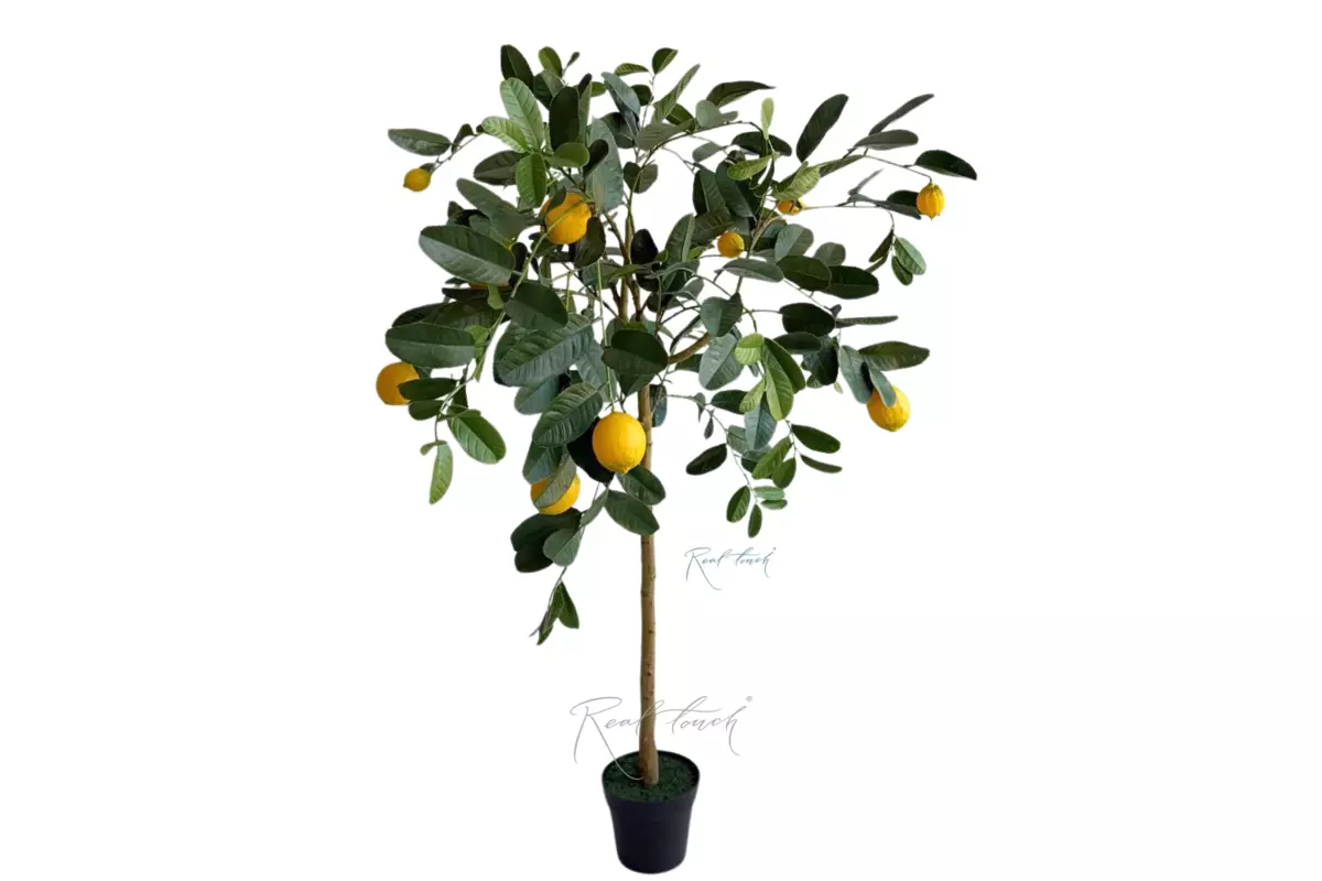 Lemon tree 148cm with UV protection - green