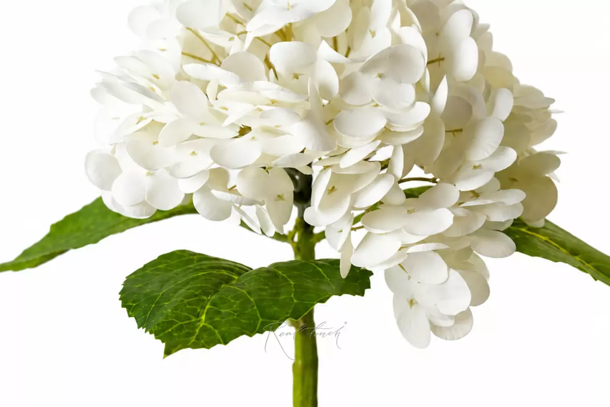 Hydrangea on a stem - white Hydrangea on a stem - white