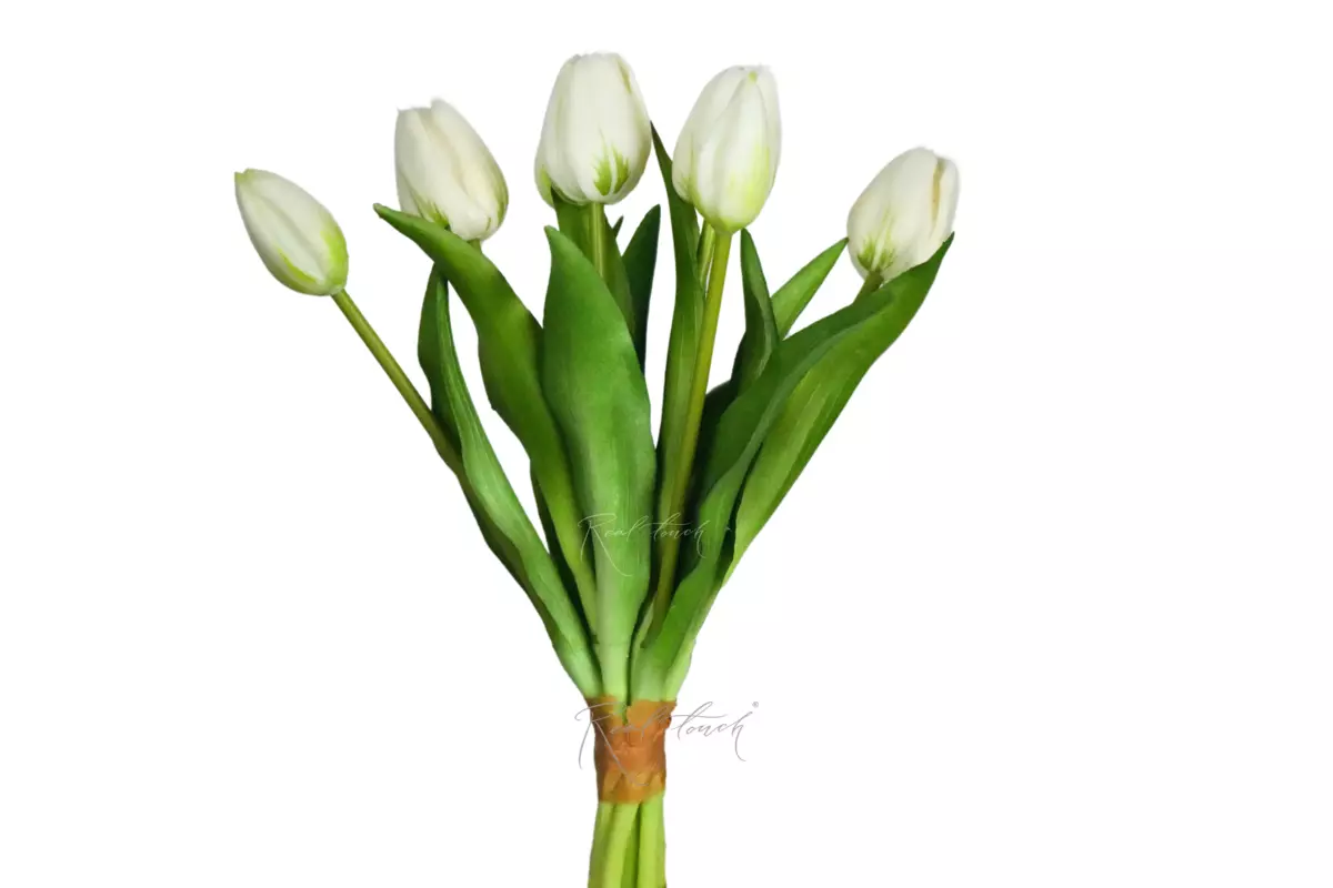 Bouquet of tulips 4+3 (30cm) - white