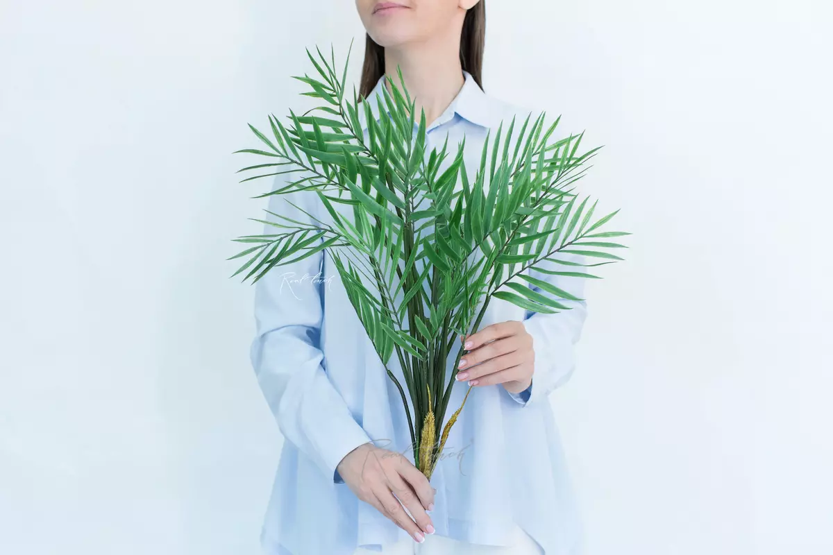 Medium bamboo palm Bush - green
