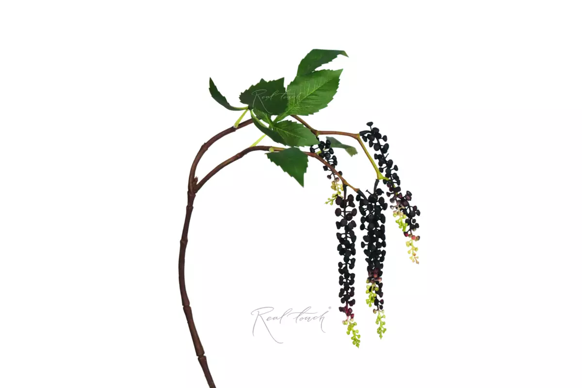 Lakonos (Phytolacca) - green Lakonos (Phytolacca) - green