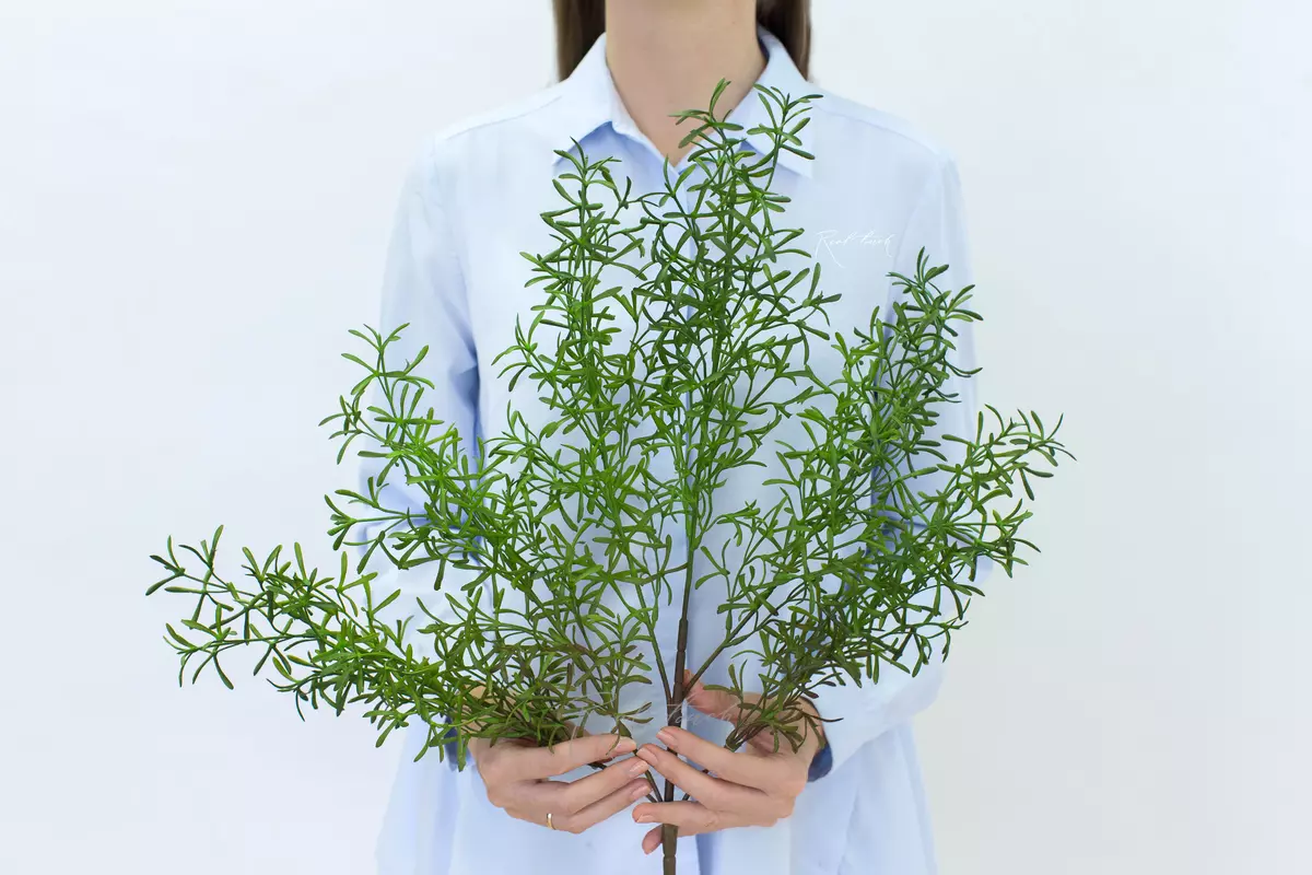 Rosemary bunch - green Rosemary bunch - green