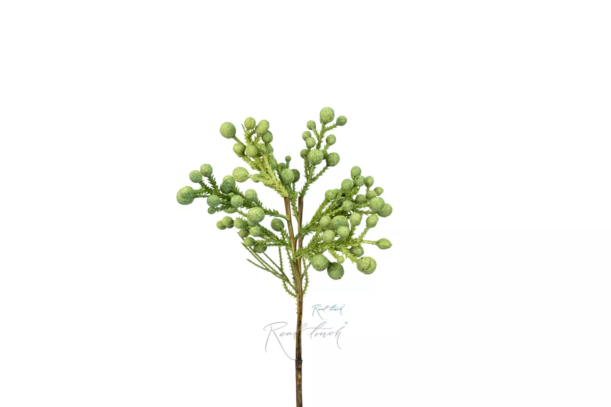 Silver Brunia - green Silver Brunia - green
