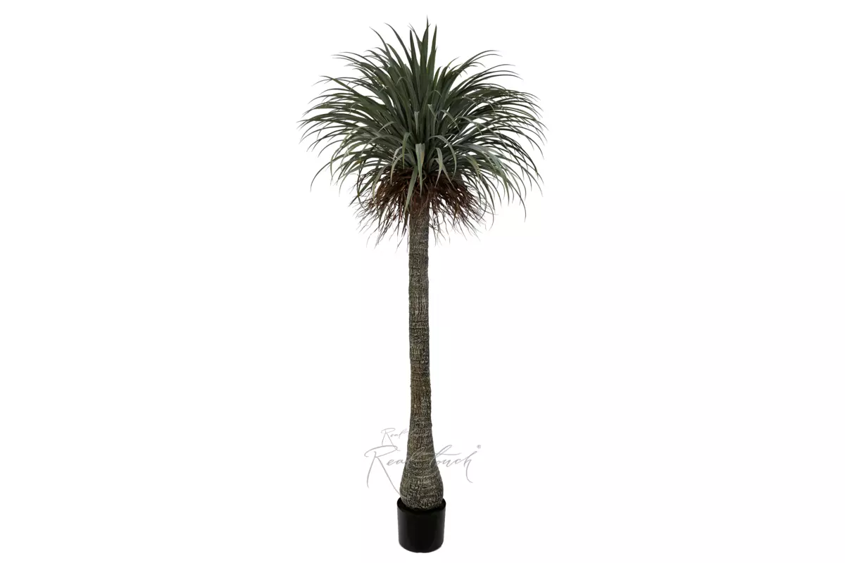 Artificial  Nolina 230cm  - green
