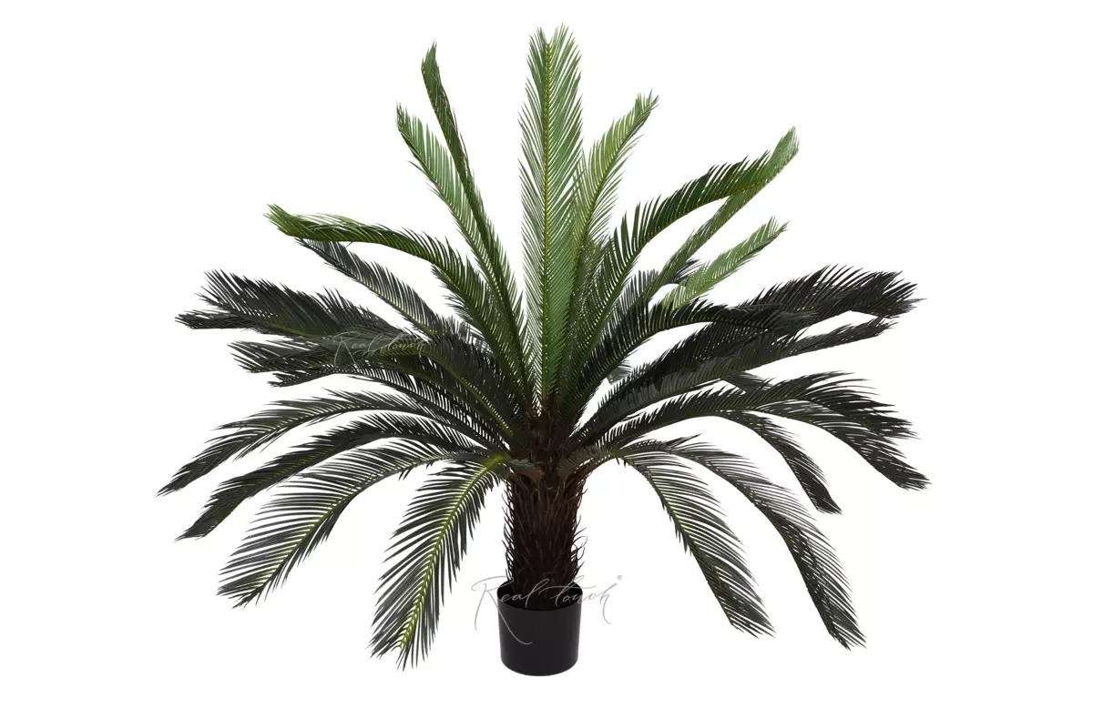 Palm Cycas 125cm - green