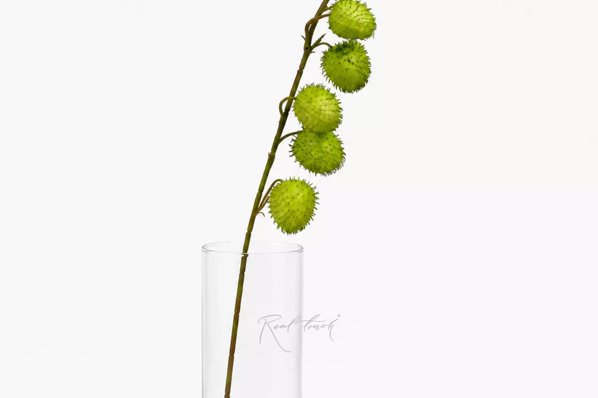 Gomphocarpus Branch, 77 cm - green Gomphocarpus Branch, 77 cm - green