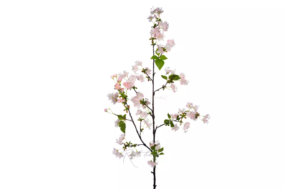 Blooming pear branch - light pink