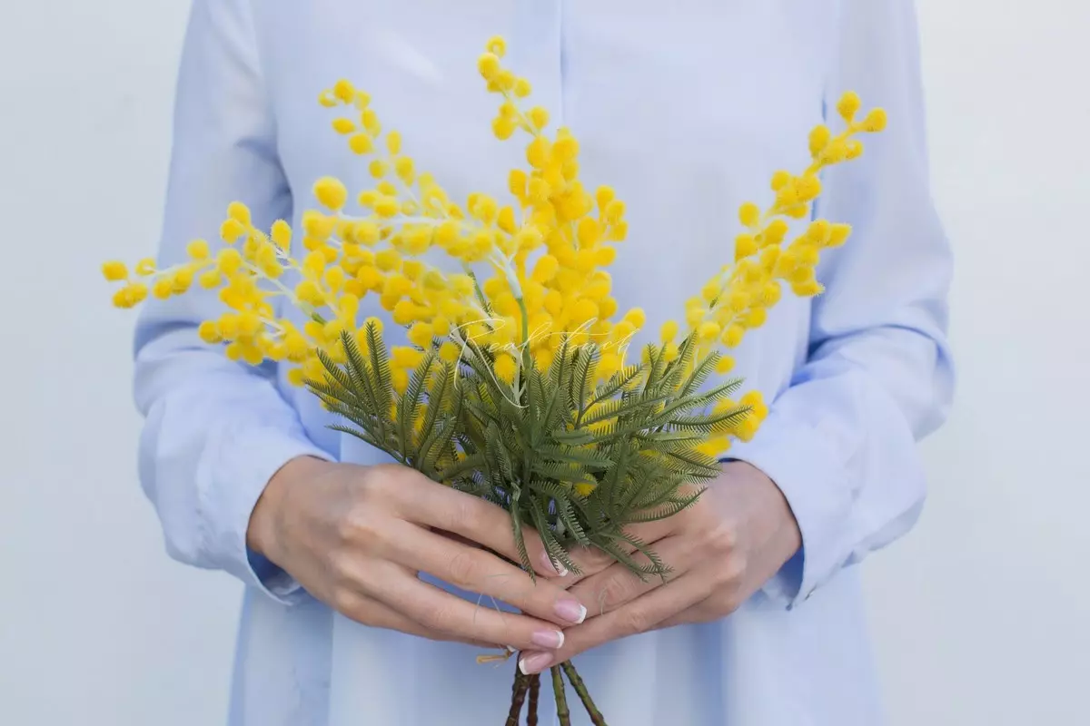 Faux Mimosa Bundle (5 branches) - yellow