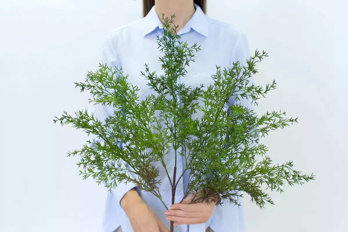 Real Touch Asparagus Umbellatus  - green