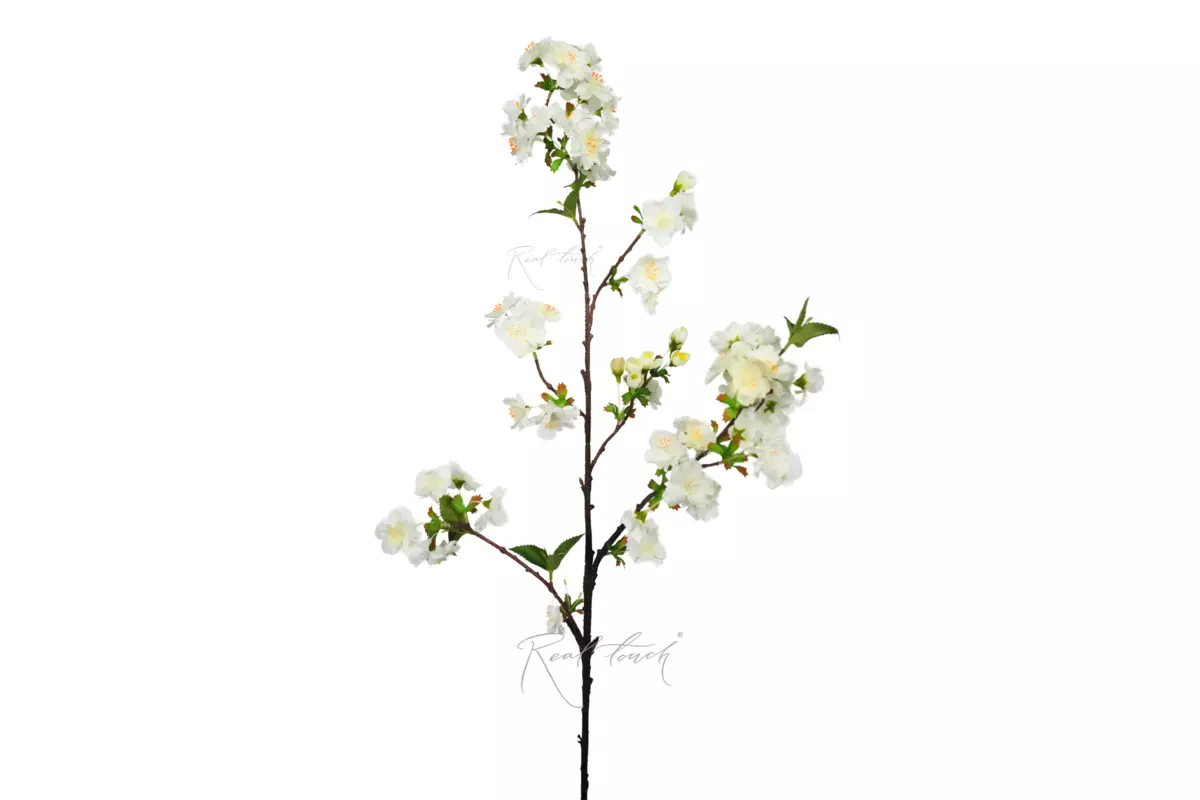Cherry blossom branch - white Cherry blossom branch - white