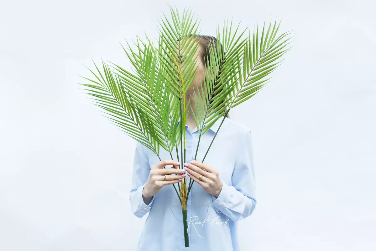 Bush Palms Areca 75cm (6 branches) - green
