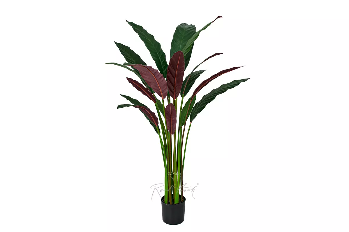 Artificial Calathea rufibarba 110cm  - Dark green