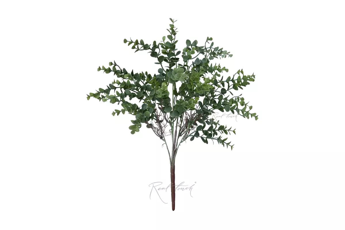 Eucalyptus Bush - dusty green Eucalyptus Bush - dusty green