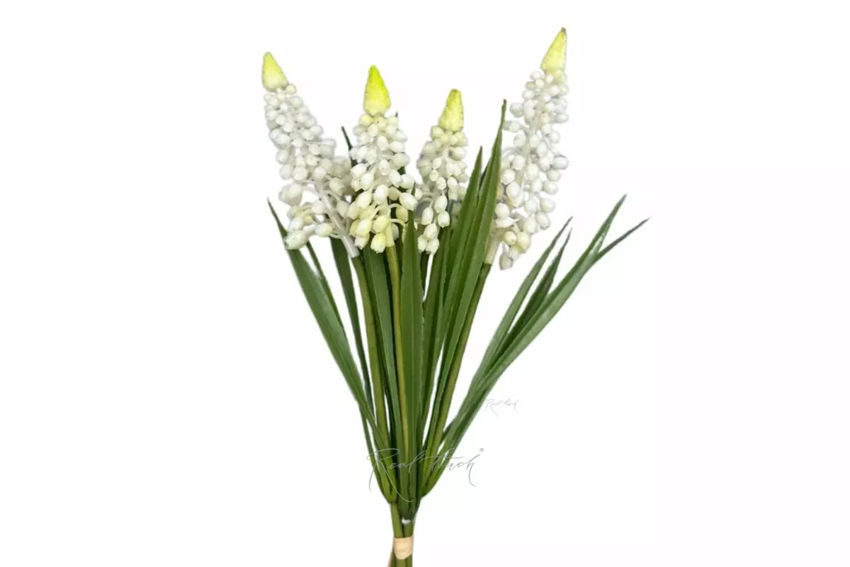 Muscari bunch - white Muscari bunch - white