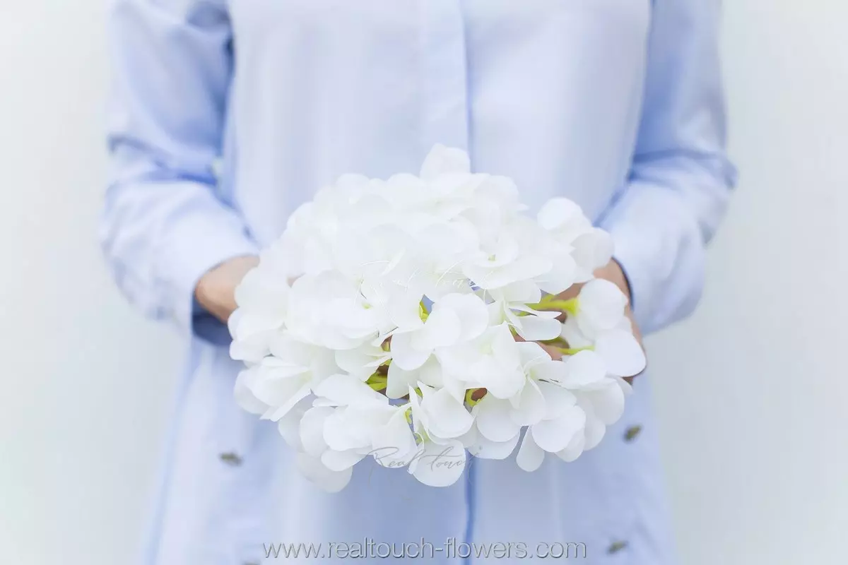 Hydrangea Flower (without stem) - white Hydrangea Flower (without stem) - white