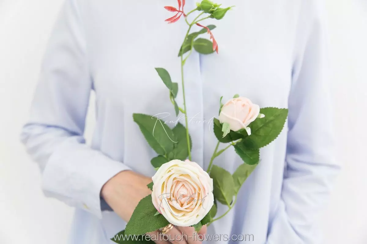 Peony Rose 1+1 - cream pink Peony Rose 1+1 - cream pink