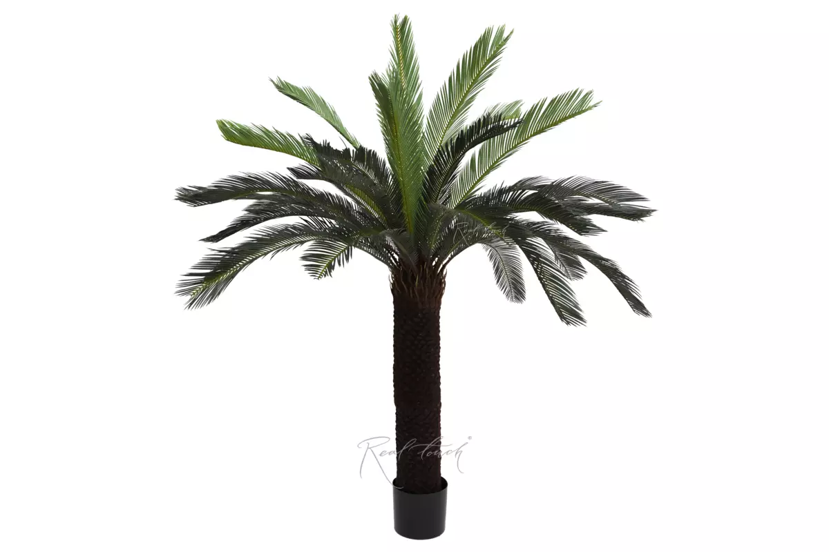 Artificial Cycas Palm 165cm  - green