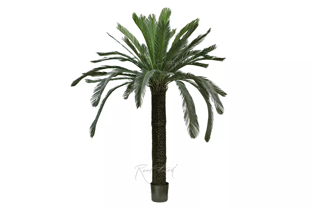 Artificial Cycas Palm 210cm  - green
