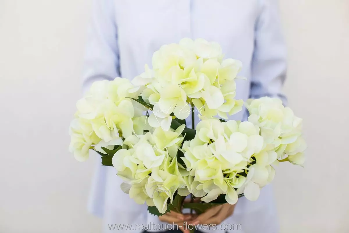 Real Touch hydrangea bush (5 blooms) - Soft light green Real Touch hydrangea bush (5 blooms) - Soft light green
