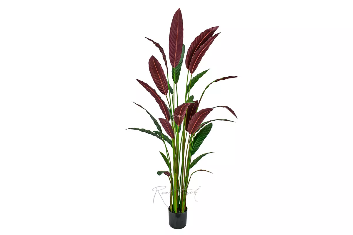 Artificial Calathea rufibarba 180cm  - Dark green