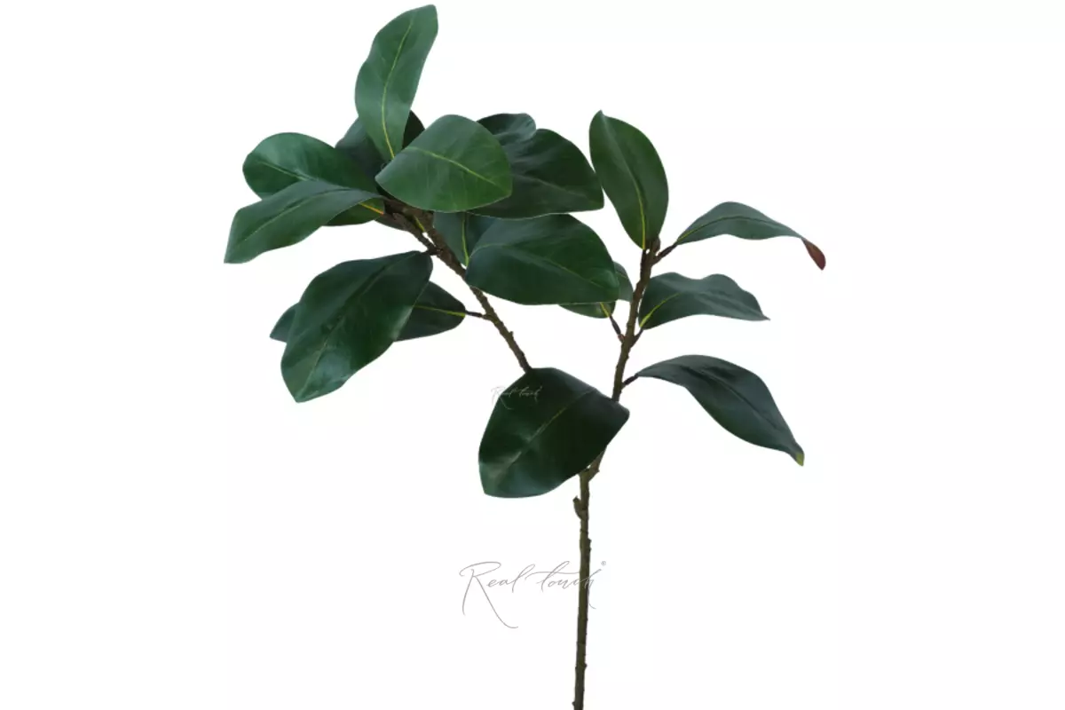 Branch with magnolia leaves (2 sprays) - green