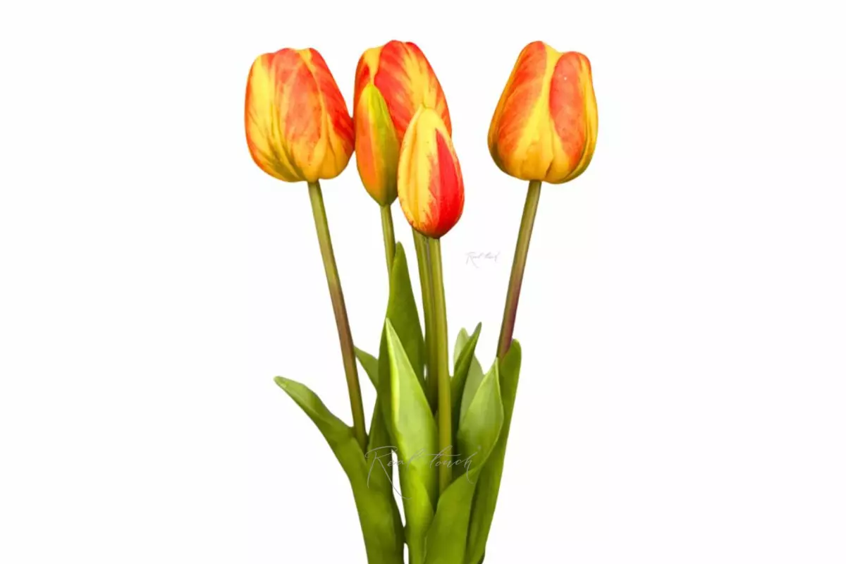 Bouquet of late tulips 3+2 - orange
