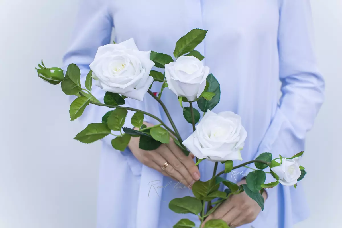 Open Rose 3+2 - white