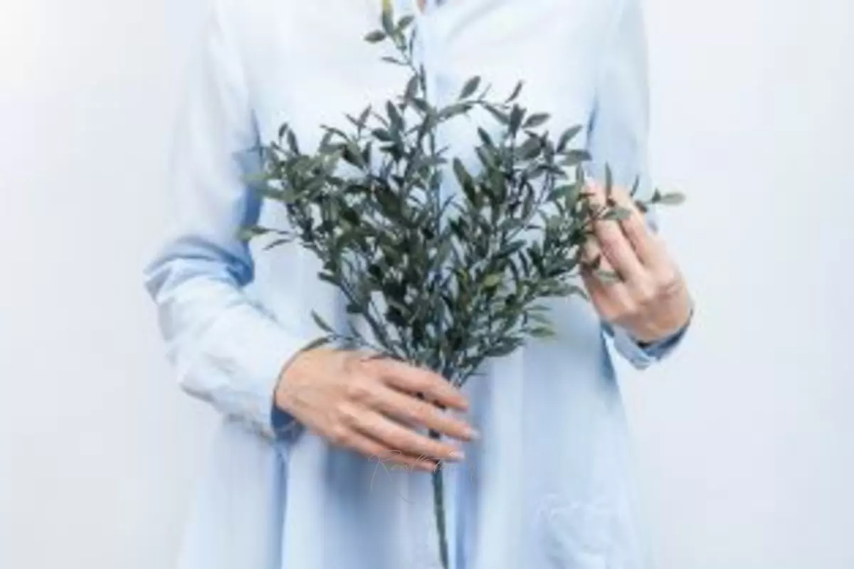 Bunch of barberry with UV protection - Dark green