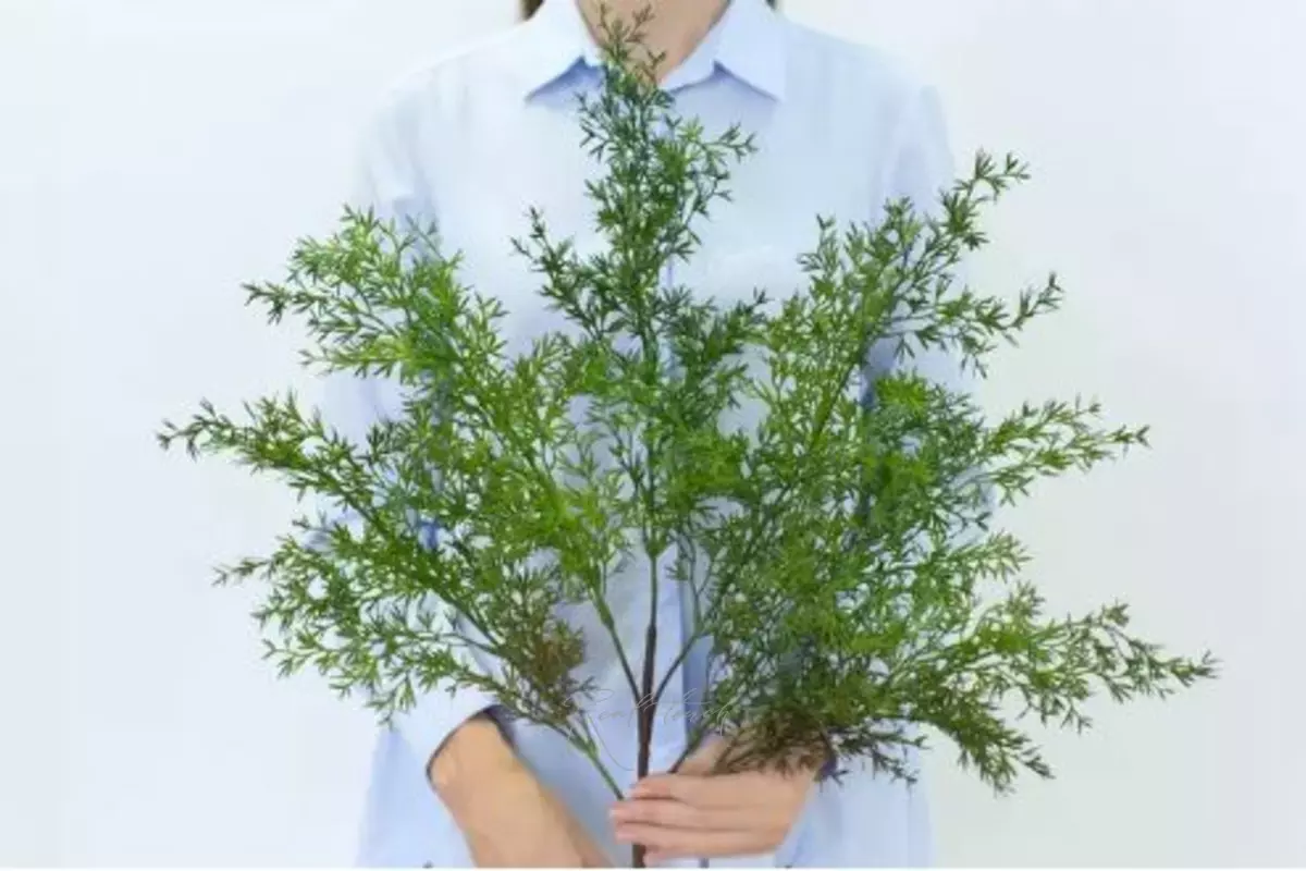 Real Touch Asparagus Umbellatus with UV protection - green